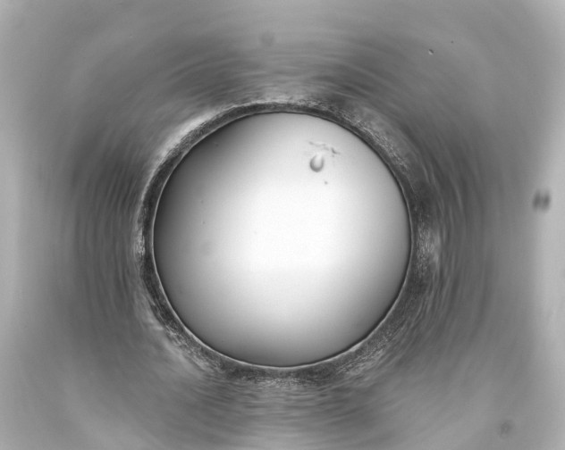 X0000094070628200711021510