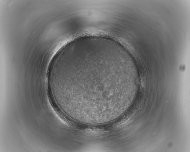 X0000094070630200711021510
