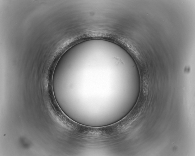 X0000094070631200711021510