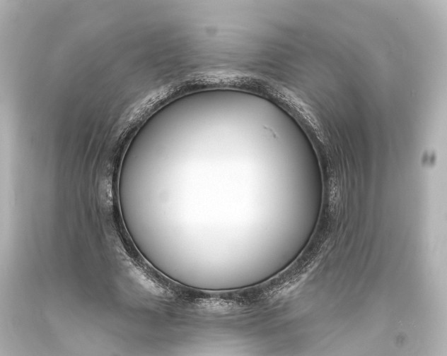 X0000094070633200711021510