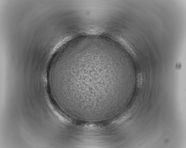 X0000094070634200711021510