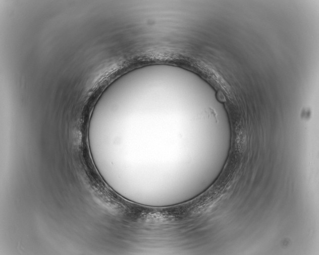 X0000094070635200711021510