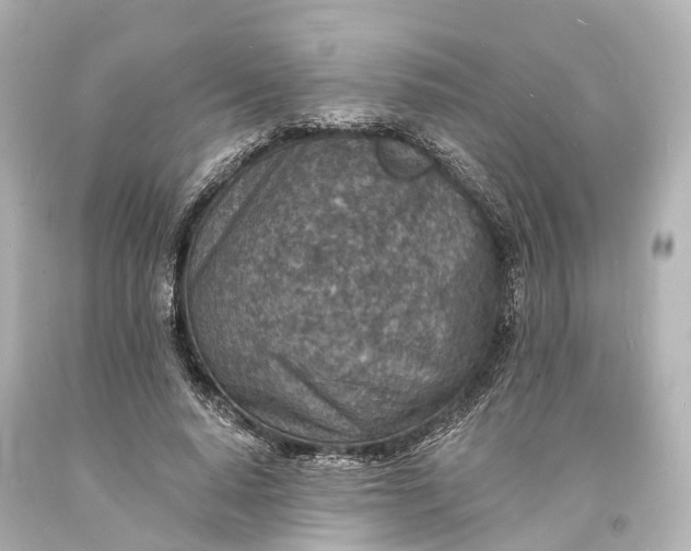 X0000094070640200711021511