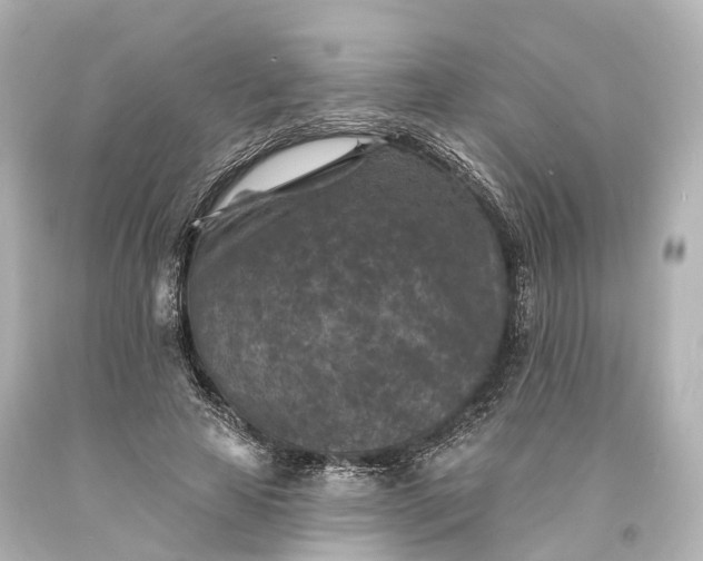 X0000094070641200711021511