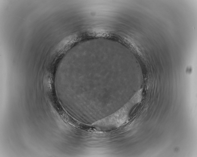 X0000094070643200711021511
