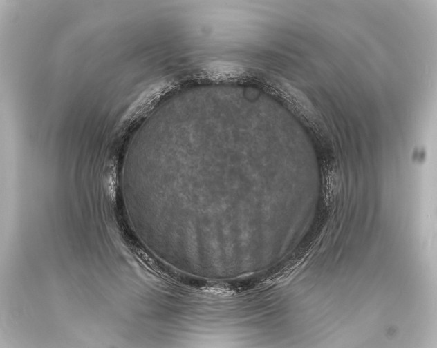 X0000094070644200711021511