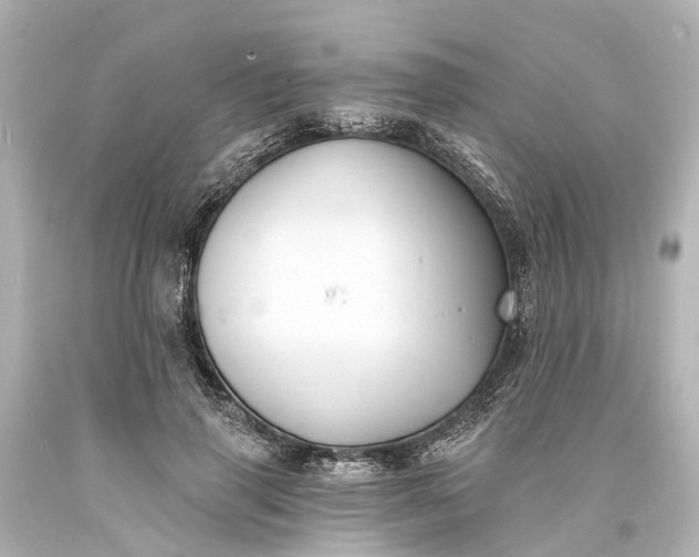 X0000094070645200711021511