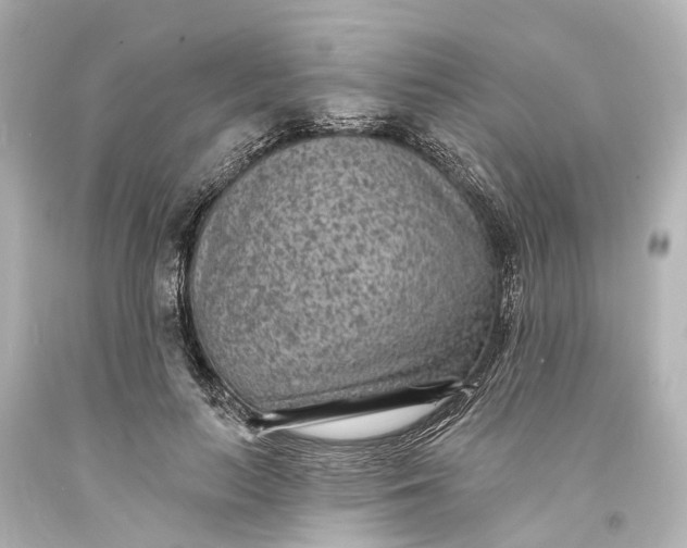 X0000094070647200711021511