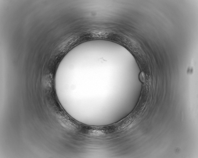 X0000094070649200711021511