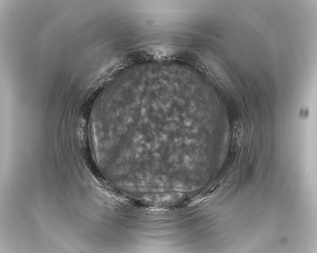 X0000094070650200711021511