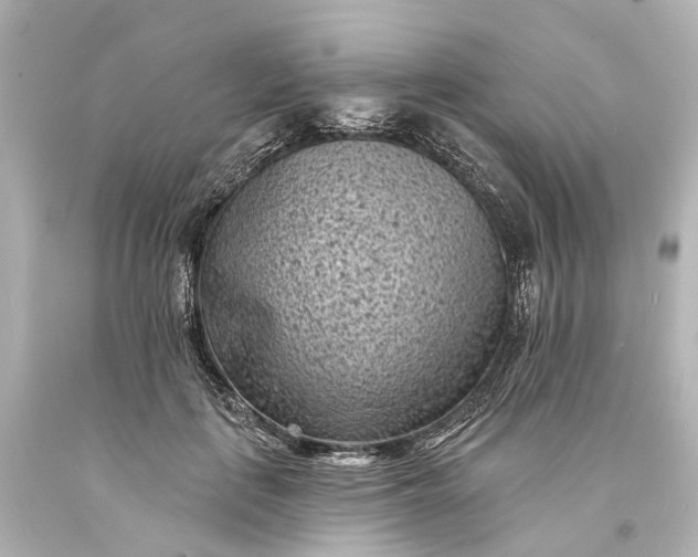 X0000094070651200711021511