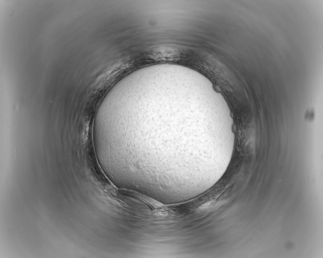 X0000094070652200711021511