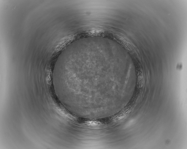 X0000094070654200711021511