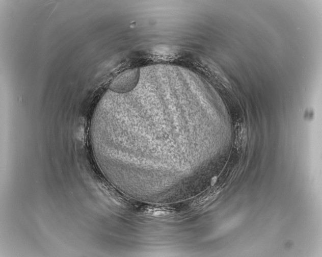 X0000094070655200711021511
