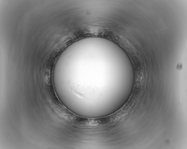 X0000094070656200711021511
