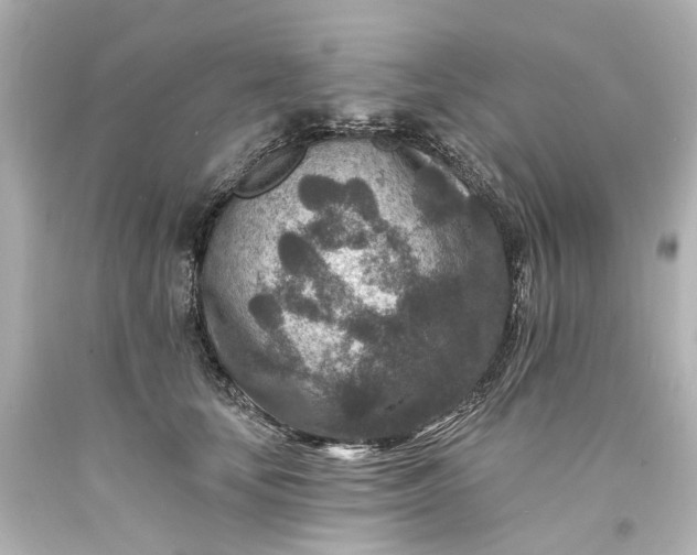 X0000094070659200711021511