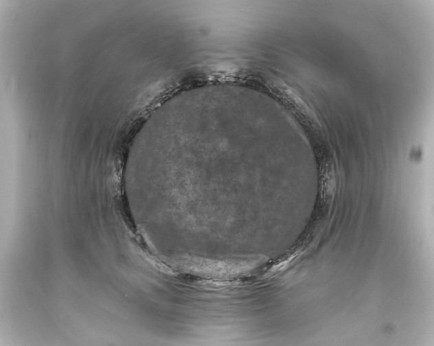 X0000094070661200711021511