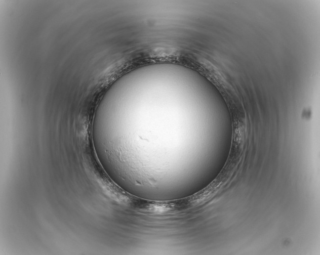 X0000094070662200711021511