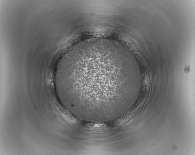 X0000094070663200711021511