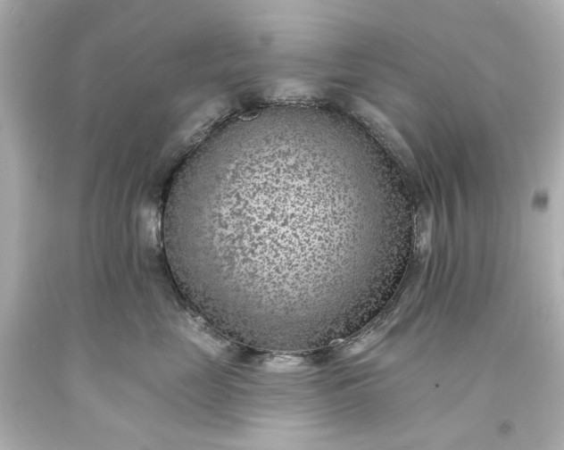 X0000094070669200711021511