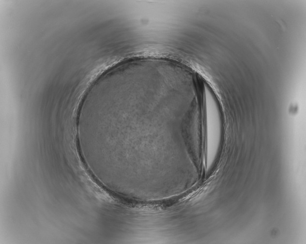 X0000094070673200711021510