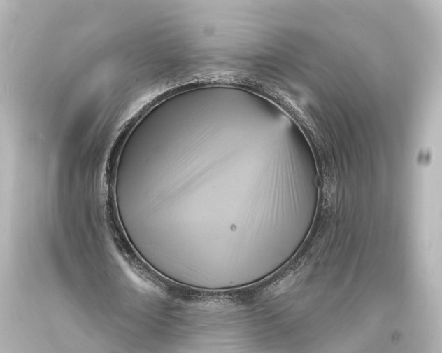 X0000094070674200711021510