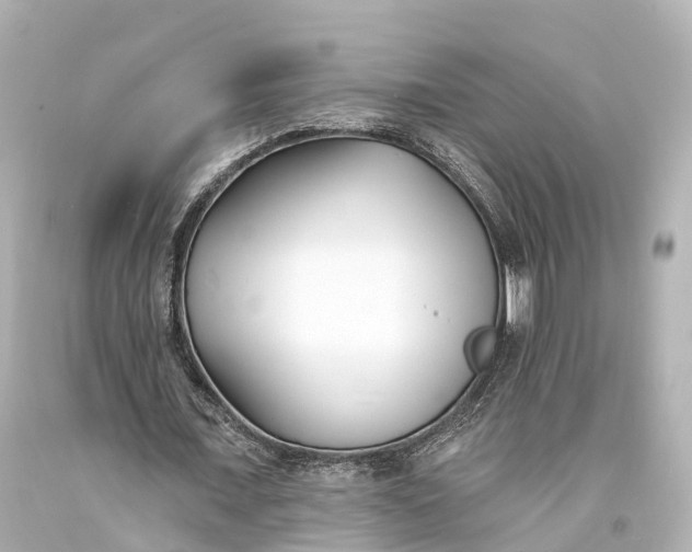 X0000094070675200711021510