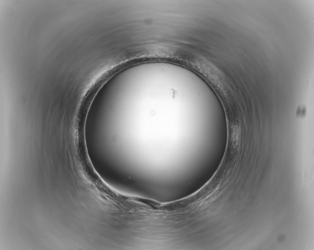 X0000094070676200711021510