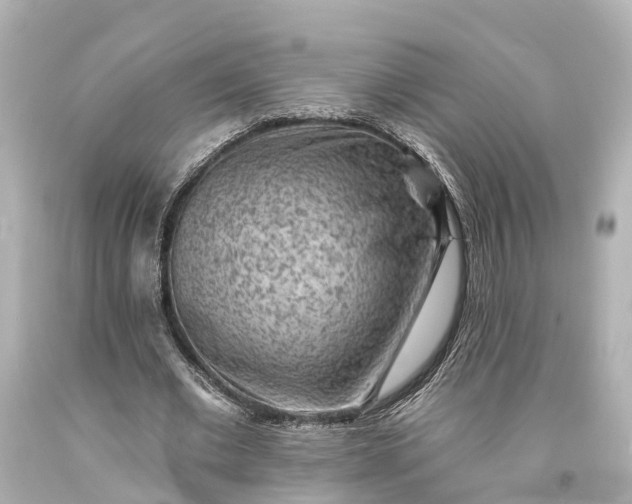 X0000094070677200711021510