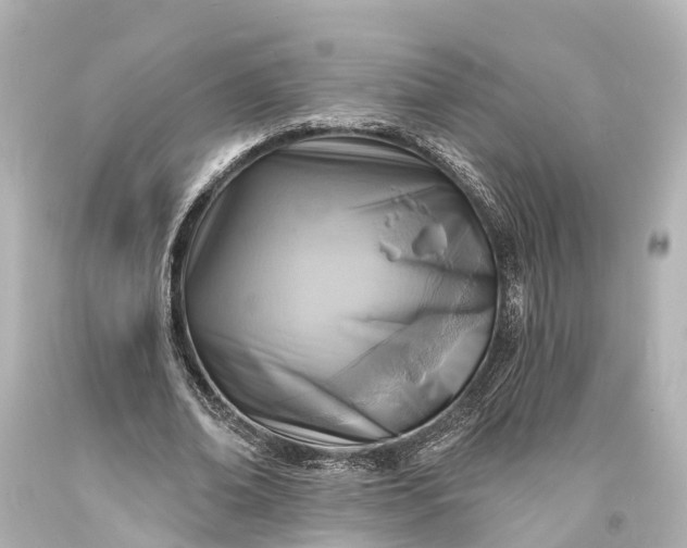 X0000094070678200711021510