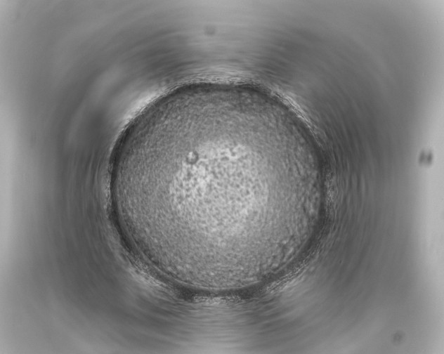 X0000094070679200711021510