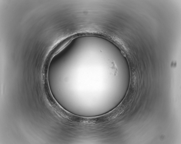 X0000094070680200711021510