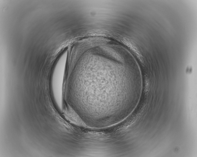 X0000094070681200711021510