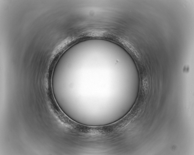 X0000094070682200711021510