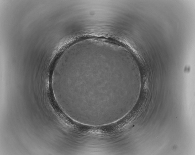 X0000094070685200711021510