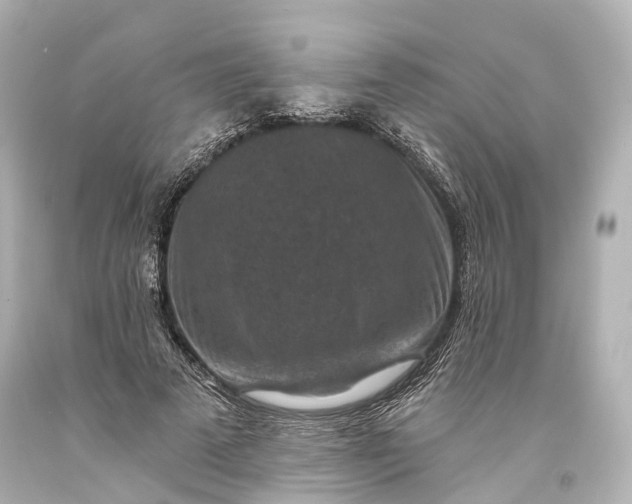 X0000094070689200711021510