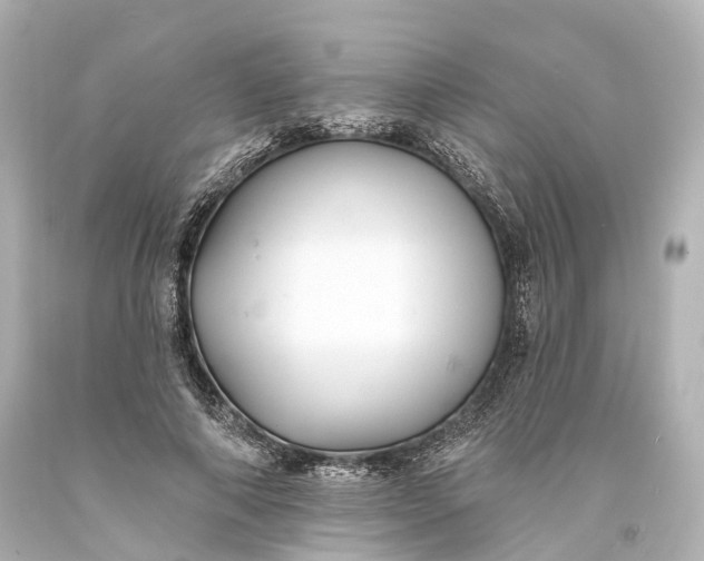 X0000094070690200711021510