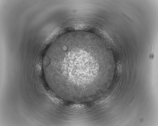 X0000094070691200711021510