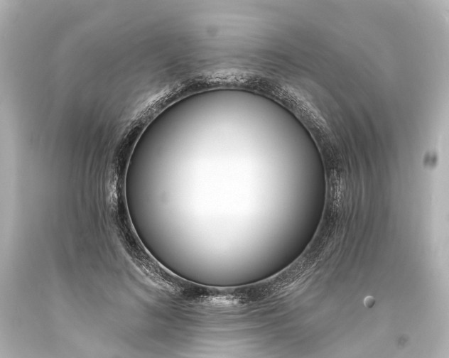 X0000094070692200711021510
