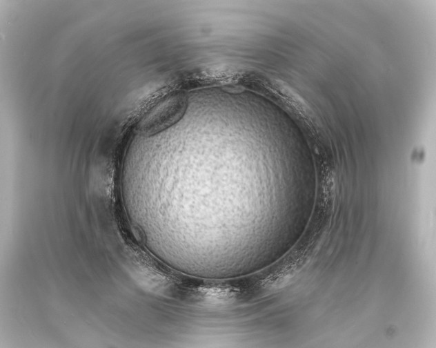 X0000094070693200711021510