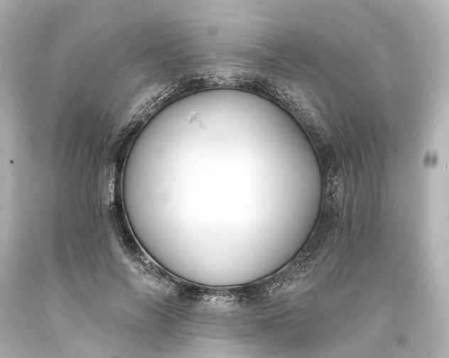 X0000094070694200711021510