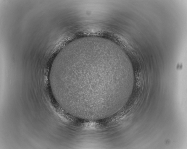 X0000094070695200711021510