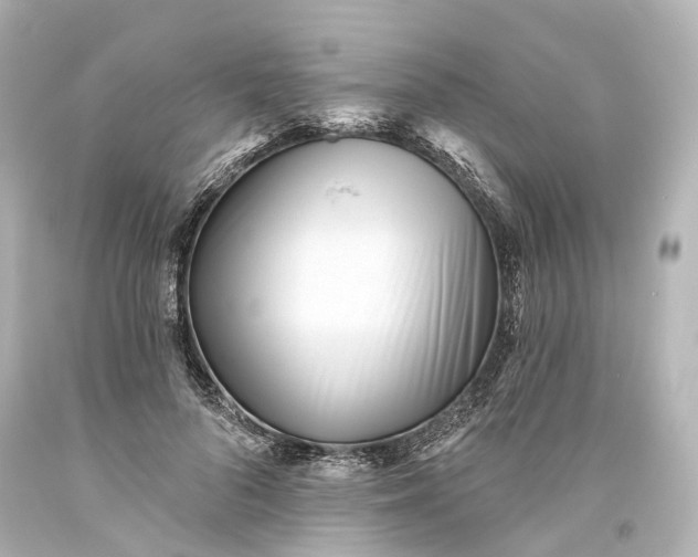 X0000094070696200711021510
