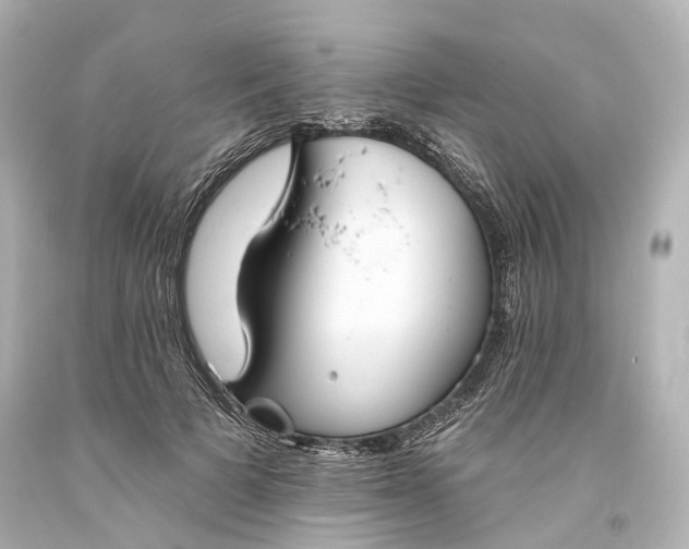 X0000094070697200711021510