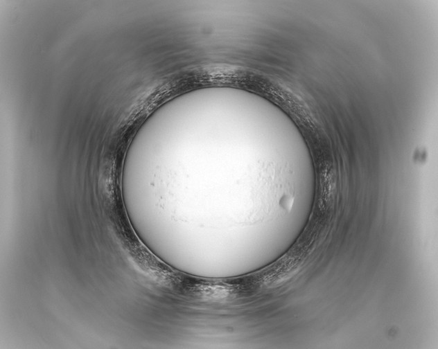 X0000094070698200711021510