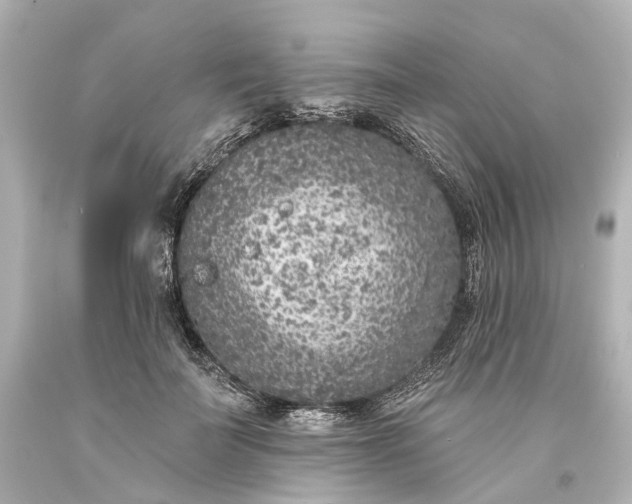 X0000094070699200711021510