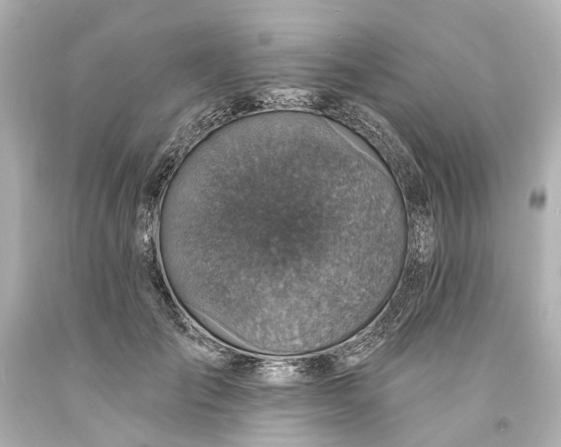 X0000094070701200711021510