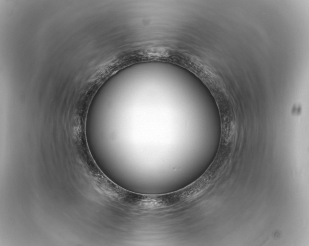 X0000094070704200711021510
