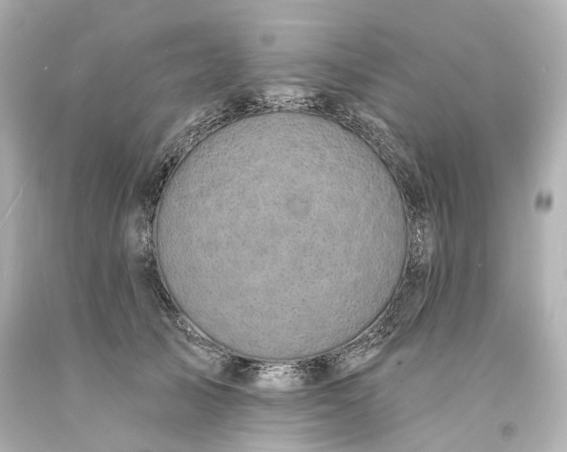 X0000094070705200711021510