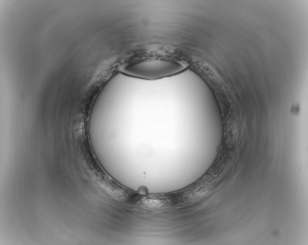 X0000094070706200711021510
